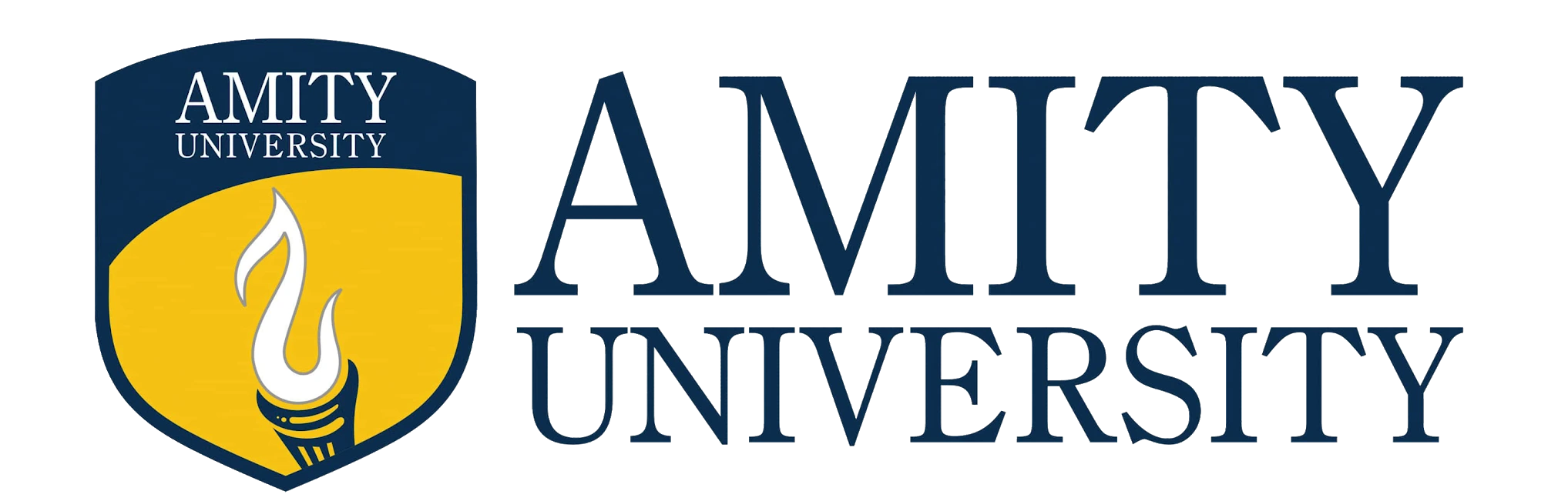 Amity University