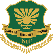 Noida International University